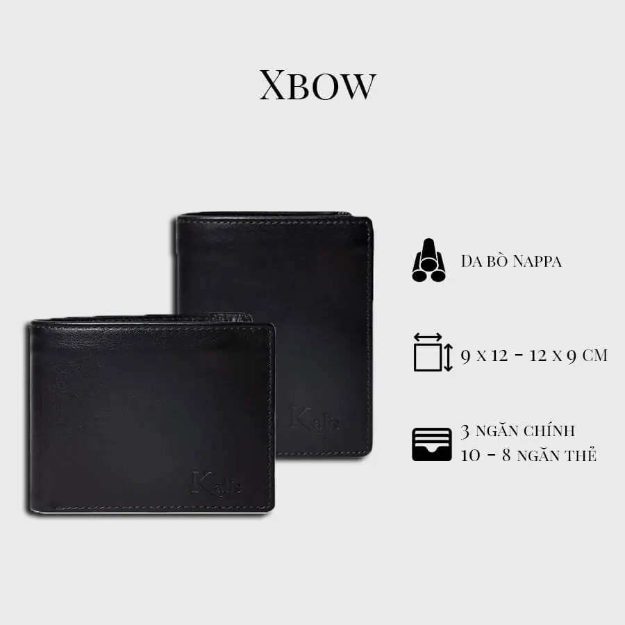 XBOW – 6